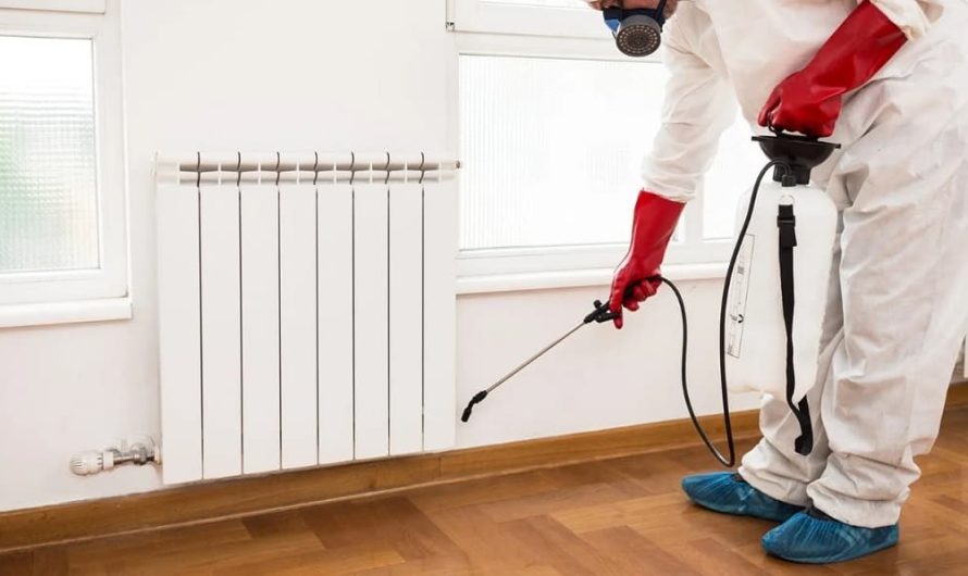 Importance of Disinfecting Your New Home